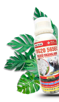 THUỐC TRỪ BỆNH