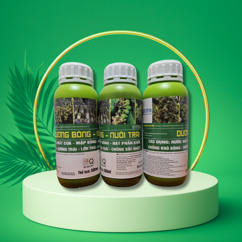 DƯỠNG BÔNG - NUÔI TRÁI